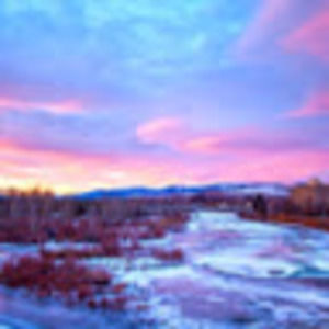 Meet your Posher, Maya